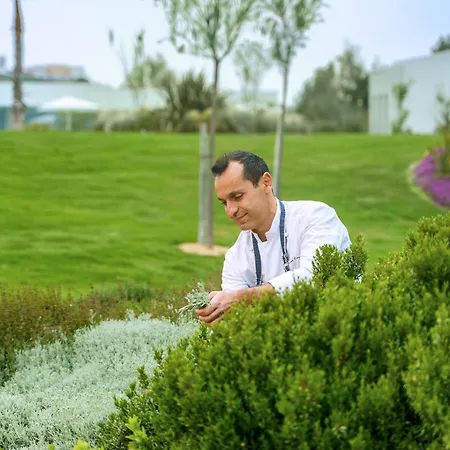 度假村 Ikos 达西亚