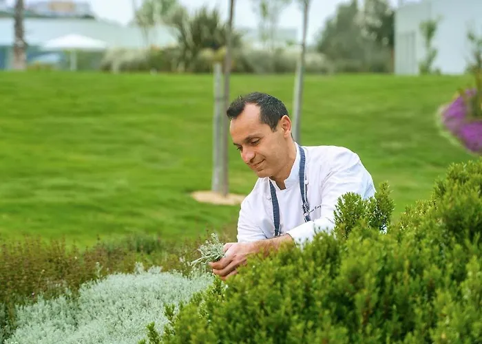 Resort Ikos Dassia (Corfu)