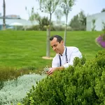 Resort Ikos Dassia (Corfu)